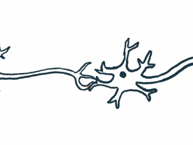 An illustration shows a synapse, or the site where the transmission of electric nerve impulses between nerve cells occurs.