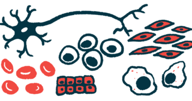 An illustration of stem cells becoming many other types of cells.