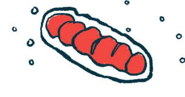 Illustration of a mitochondrion, shown as an elongated oval shape with folded inner membranes, representing the cell’s energy-producing structure.