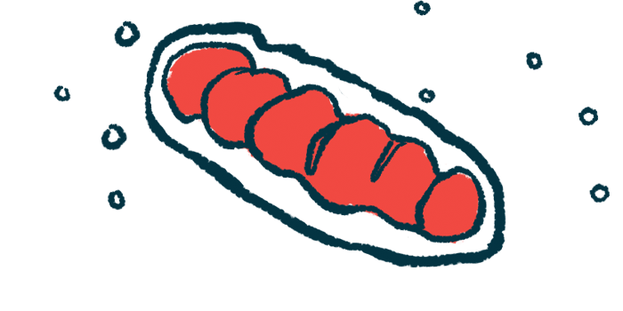 Illustration of a mitochondrion, shown as an elongated oval shape with folded inner membranes, representing the cell’s energy-producing structure.