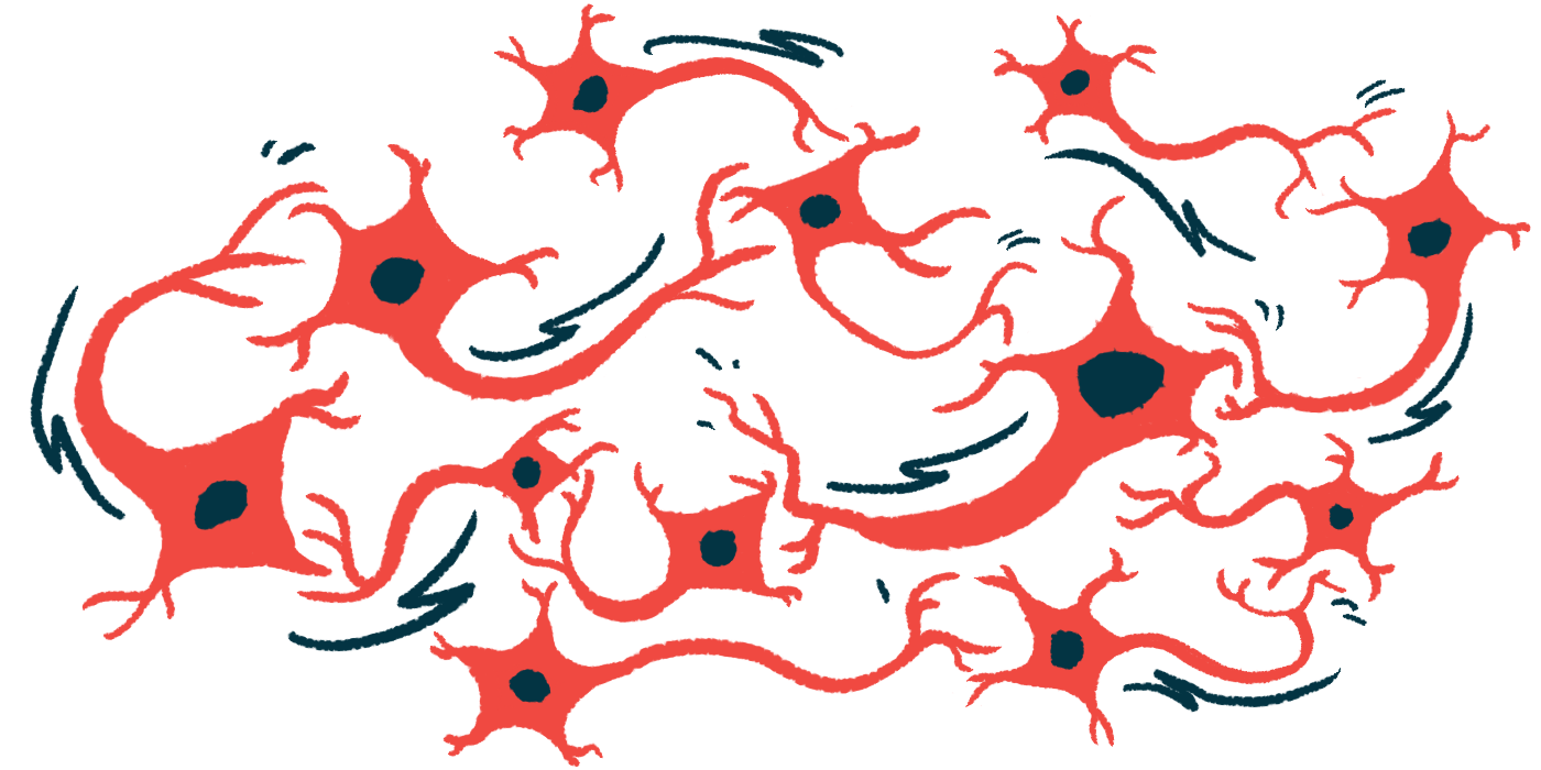 An illustration of neurons.